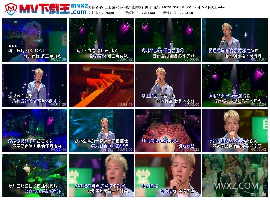 王栎鑫-等我回家(金曲捞)_国语_流行_MC701307
